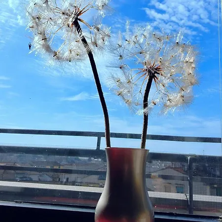 Dandelion Stazione Fs Διαμέρισμα *