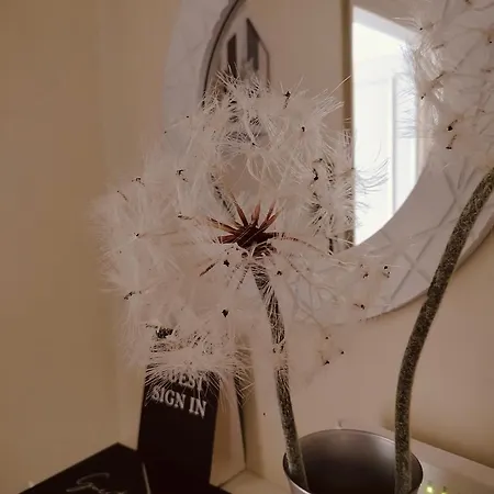 Dandelion Stazione Fs Apartamento
